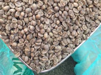 Direkt gehandelter Kaffee aus El Salvador eingetroffen