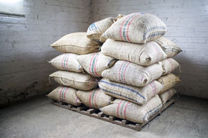 Supremo Bohnen gelten als die beste Qualität von kolumbianischem Arabica Kaffee.