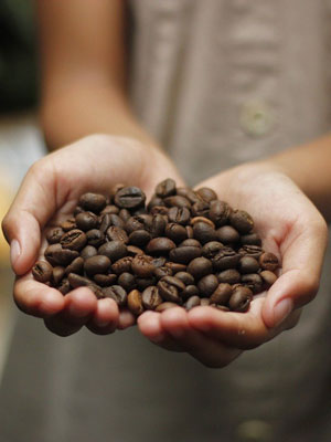 Biologisch angebauter Bourbon Arabica Kaffee, per Hand gepflückt und schonend im Trommelröstverfahren von uns als Kaffeerösterei veredelt.