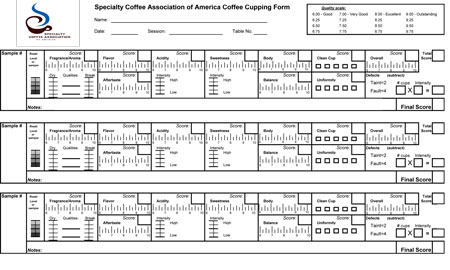 SCAA Verkostungsbogen