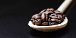 Kaffeetrend 2018: Mushroom Coffee
