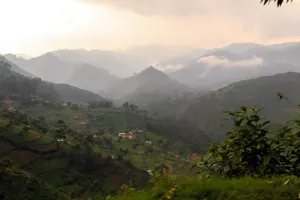 Bergige Landschaften mit Kaffeeplantagen