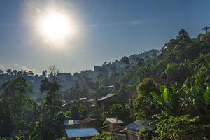 Der Kongo bietet aufgrund seiner geografischen Lage am Äquator beste Voraussetzungen für den Anbau von hochwertigen Kaffees.