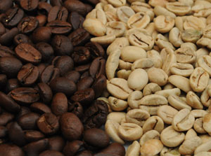 Der Monsooned Malabar ist ein ausgezeichneter Filterkaffee. Im Vollautomat überzeugt der Arabica Kaffee mit Kraft und Würze