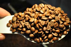 Papua Neu Guinea Sigri Kaffeebohnen