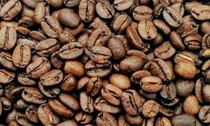 Die Bio-Espressobohnen aus Sumatra sind hervorragend dazu eigenet einen kräftigen Espresso oder Cappuccino mit einer Siebträgermaschine zuzubereiten. Kräftig, delikat, herbschokoladig.